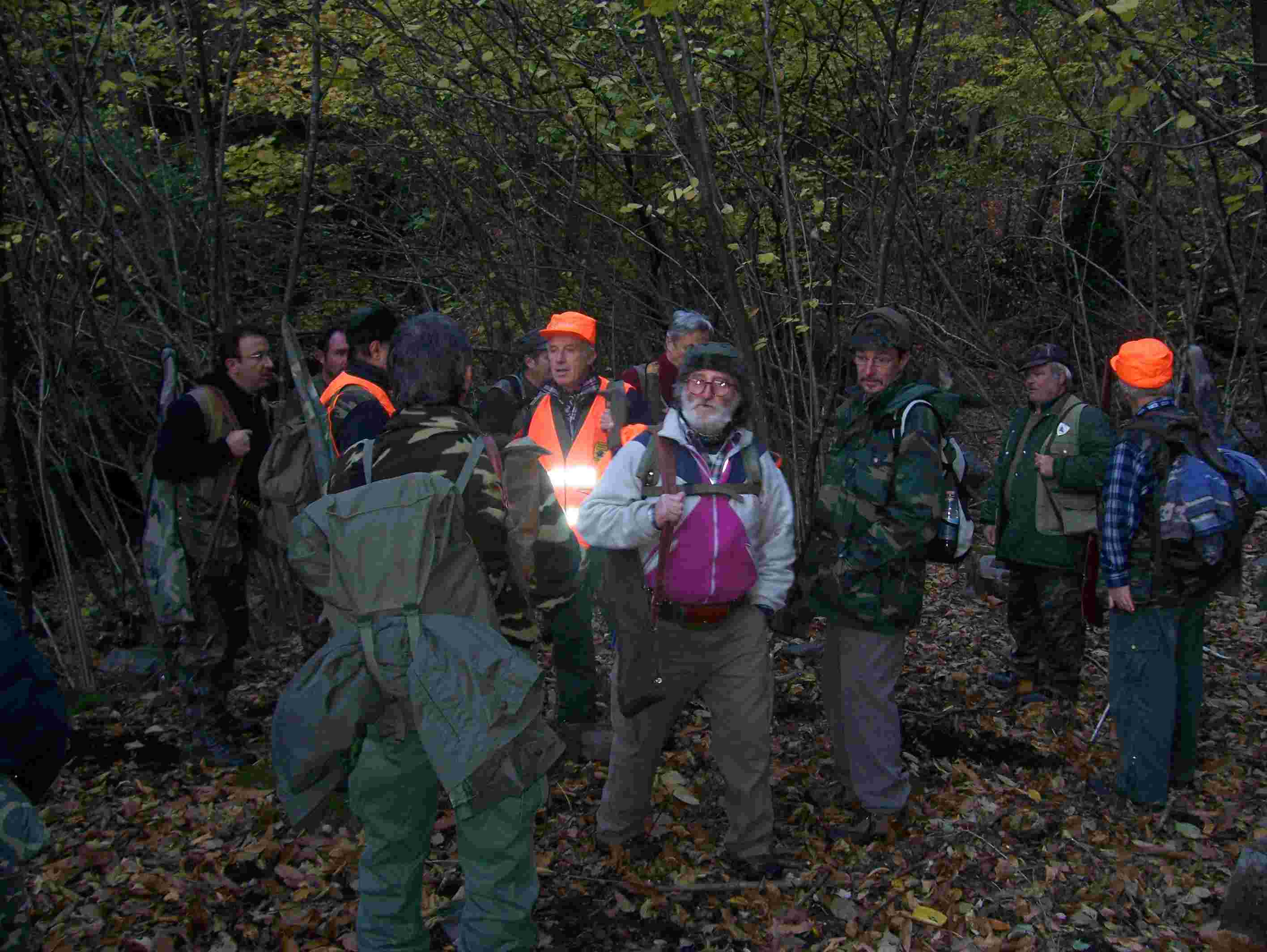  Image name: 78 Caccia.JPG 
 width: 2832 pixel 
 height: 2128 pixel 
 Size: 188757 bytes 
 Click to enlarge 